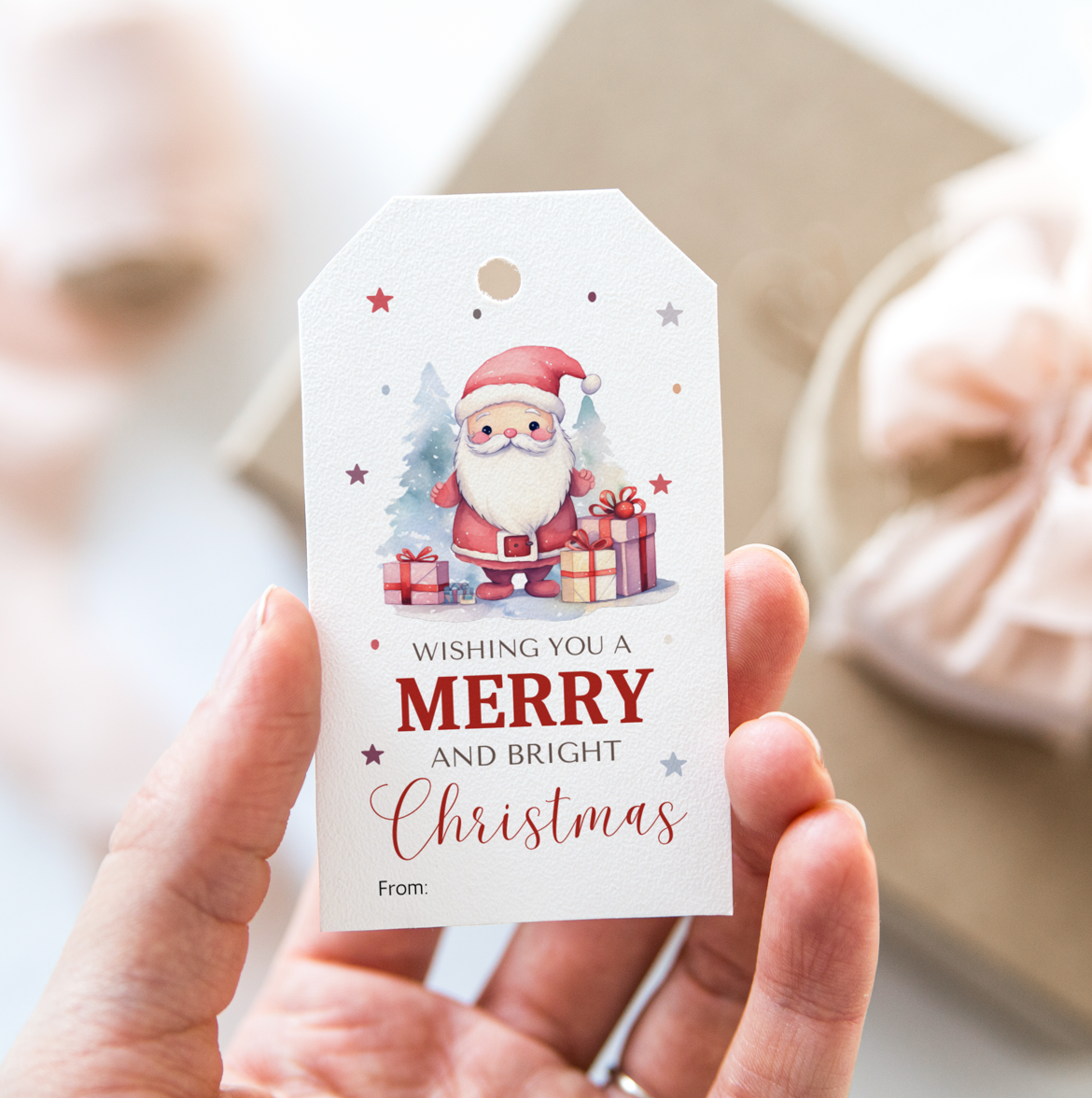 DIGITAL Merry Christmas Gift Tag (1002)