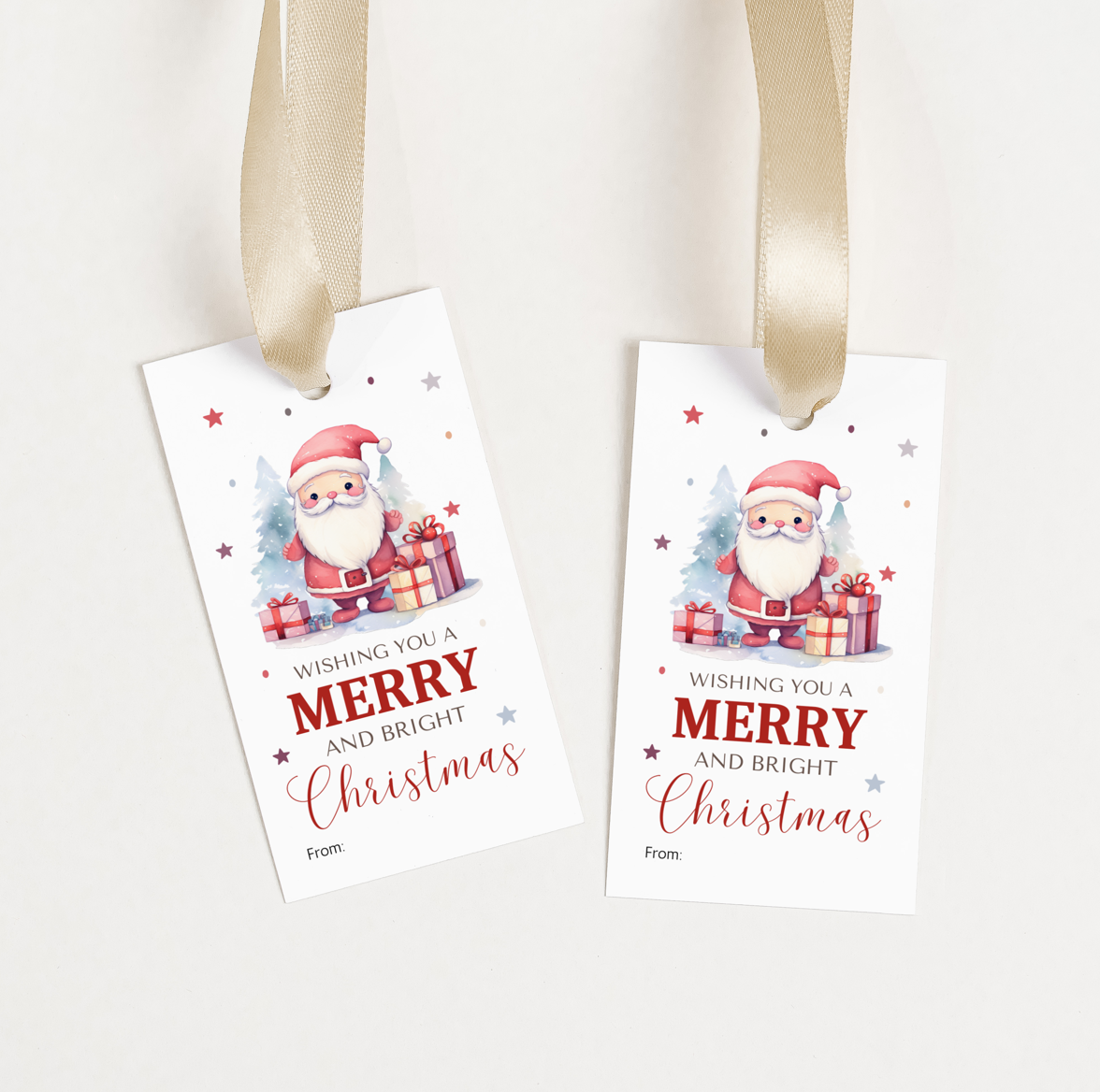 DIGITAL Merry Christmas Gift Tag (1002)