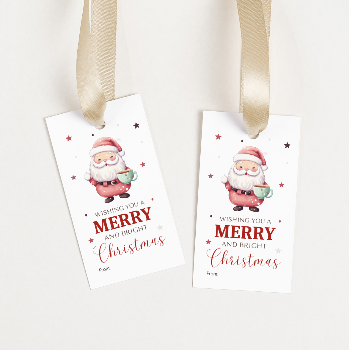 DIGITAL Merry Christmas Gift Tag (1005)