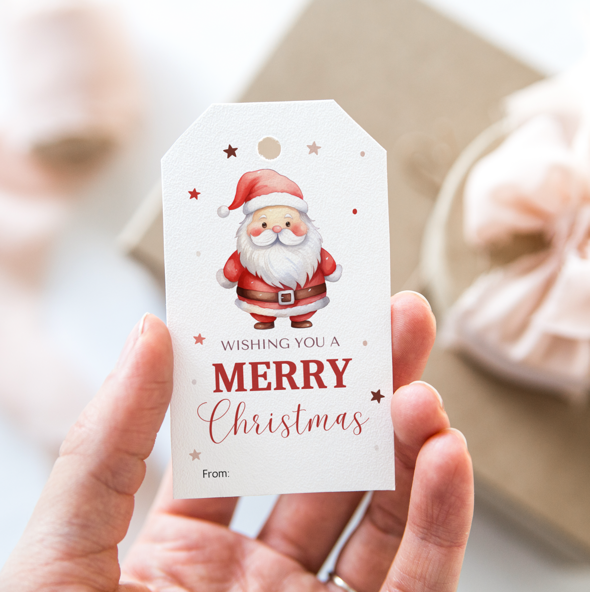 DIGITAL Merry Christmas Gift Tag (1006)