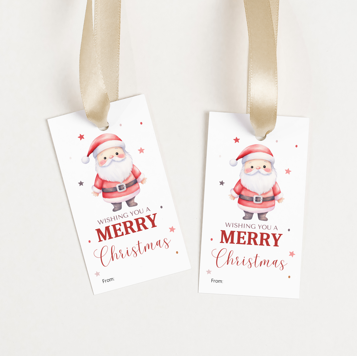 DIGITAL Merry Christmas Gift Tag (1007)