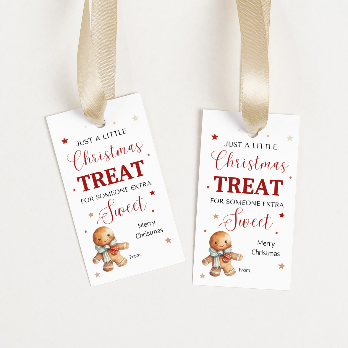 DIGITAL Merry Christmas Gift Tag (1012)