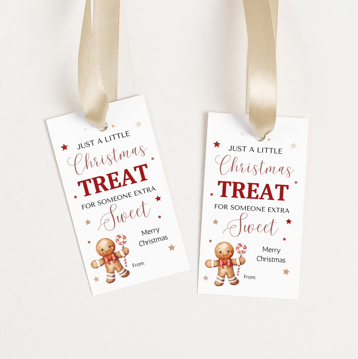 DIGITAL Merry Christmas Gift Tag (1013)