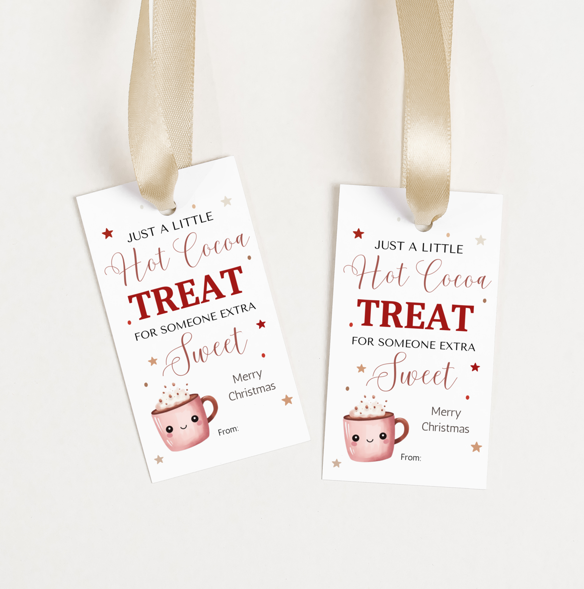 DIGITAL Merry Christmas Gift Tag (1014)