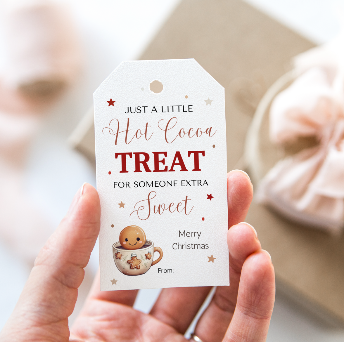 DIGITAL Merry Christmas Gift Tag (1015)