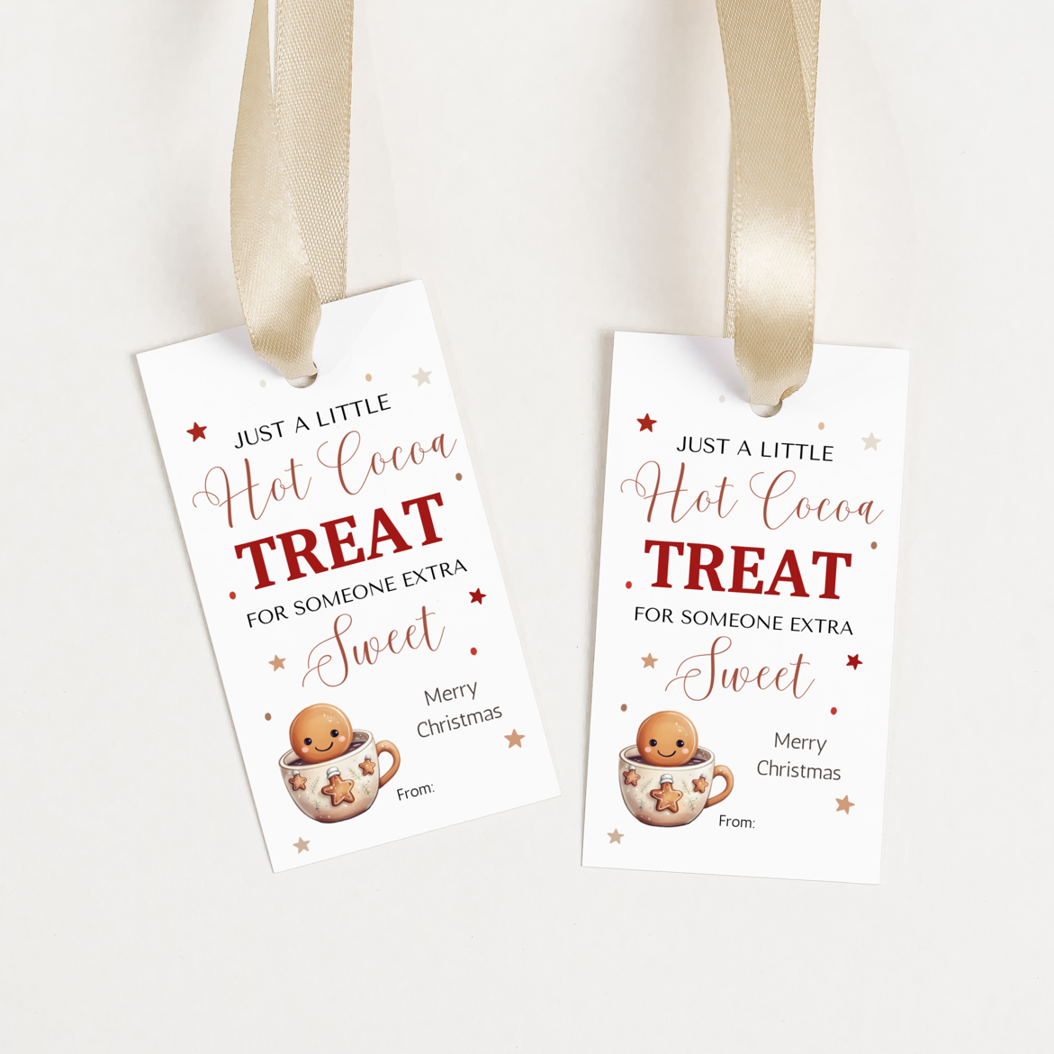 DIGITAL Merry Christmas Gift Tag (1015)