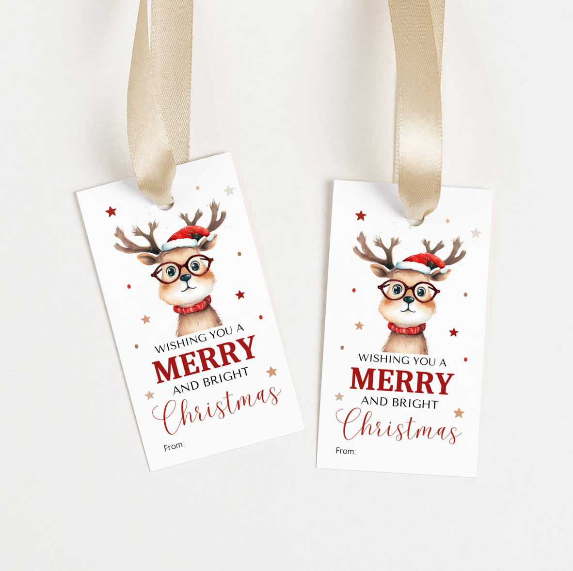 DIGITAL Merry Christmas Gift Tag (1016)