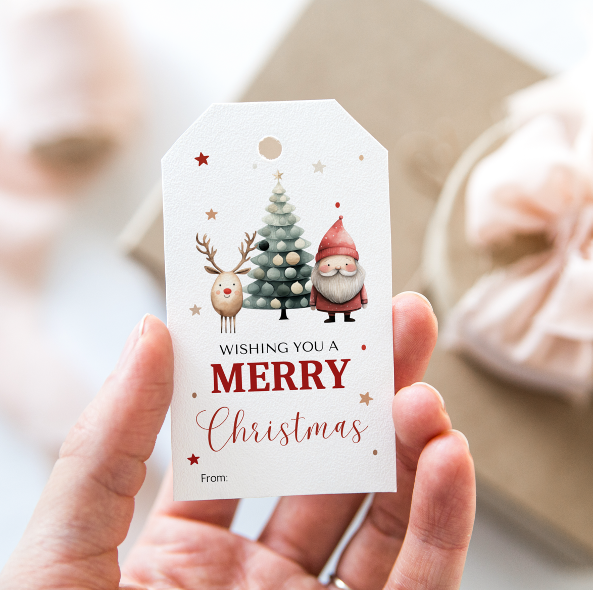 DIGITAL Merry Christmas Gift Tag (1020)
