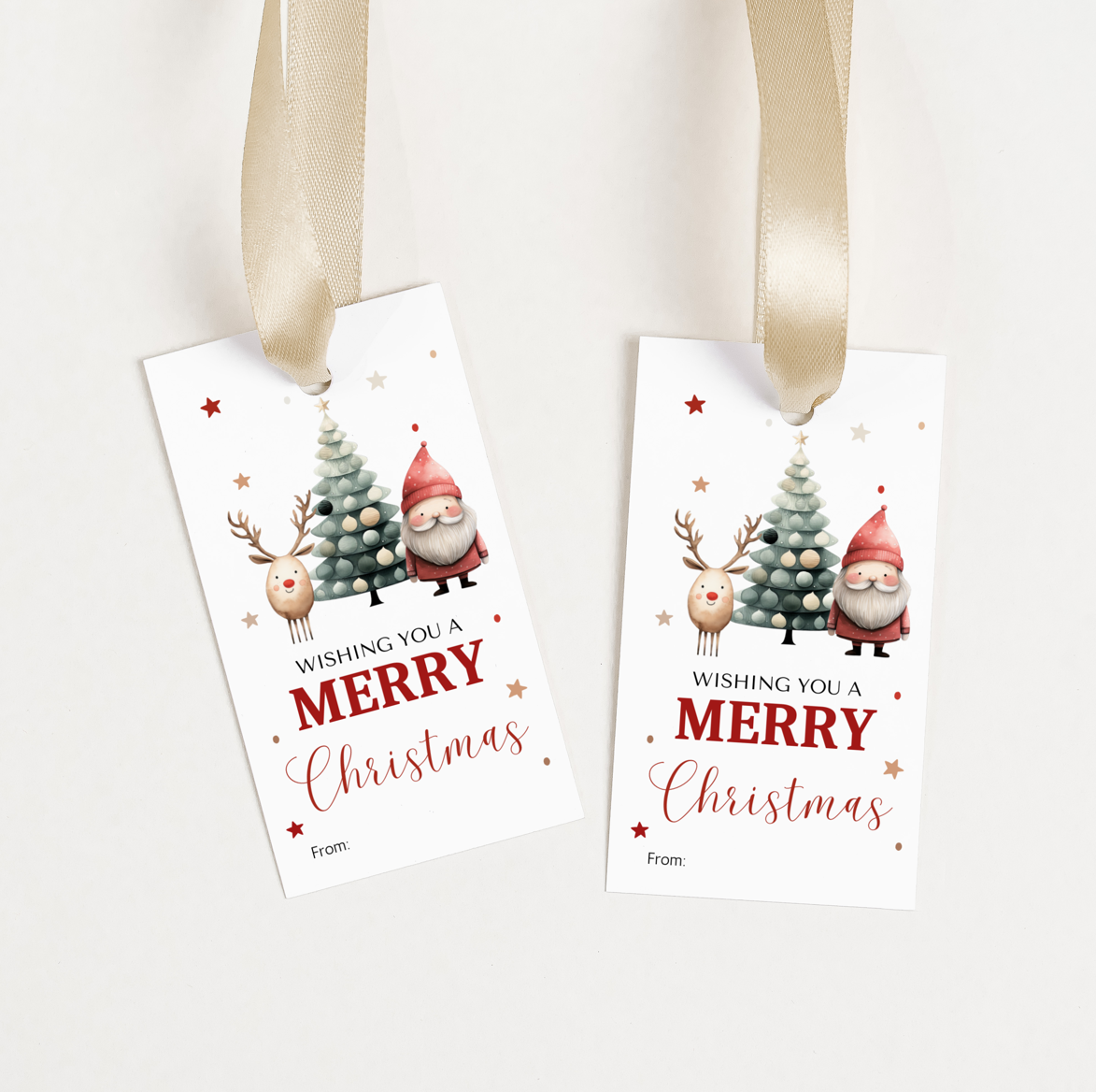 DIGITAL Merry Christmas Gift Tag (1020)