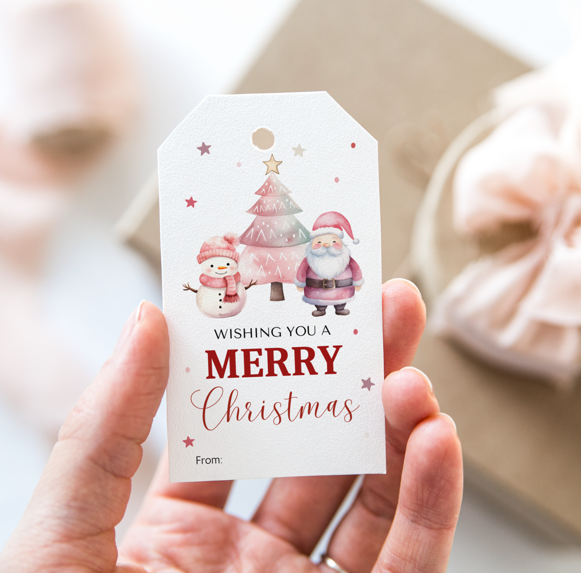 DIGITAL Merry Christmas Gift Tag (1021)