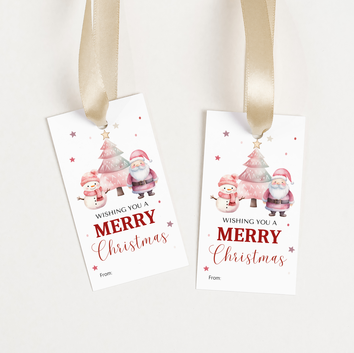 DIGITAL Merry Christmas Gift Tag (1021)