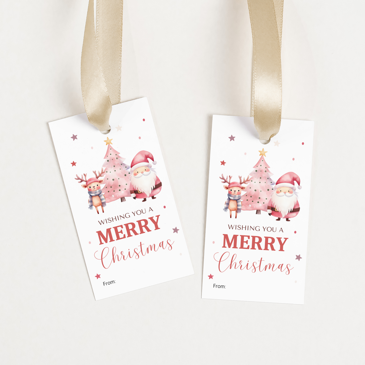 DIGITAL Merry Christmas Gift Tag (1022)