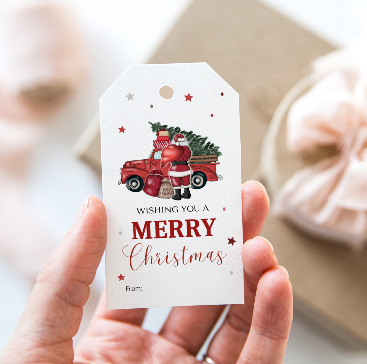 DIGITAL Merry Christmas Gift Tag (1024)