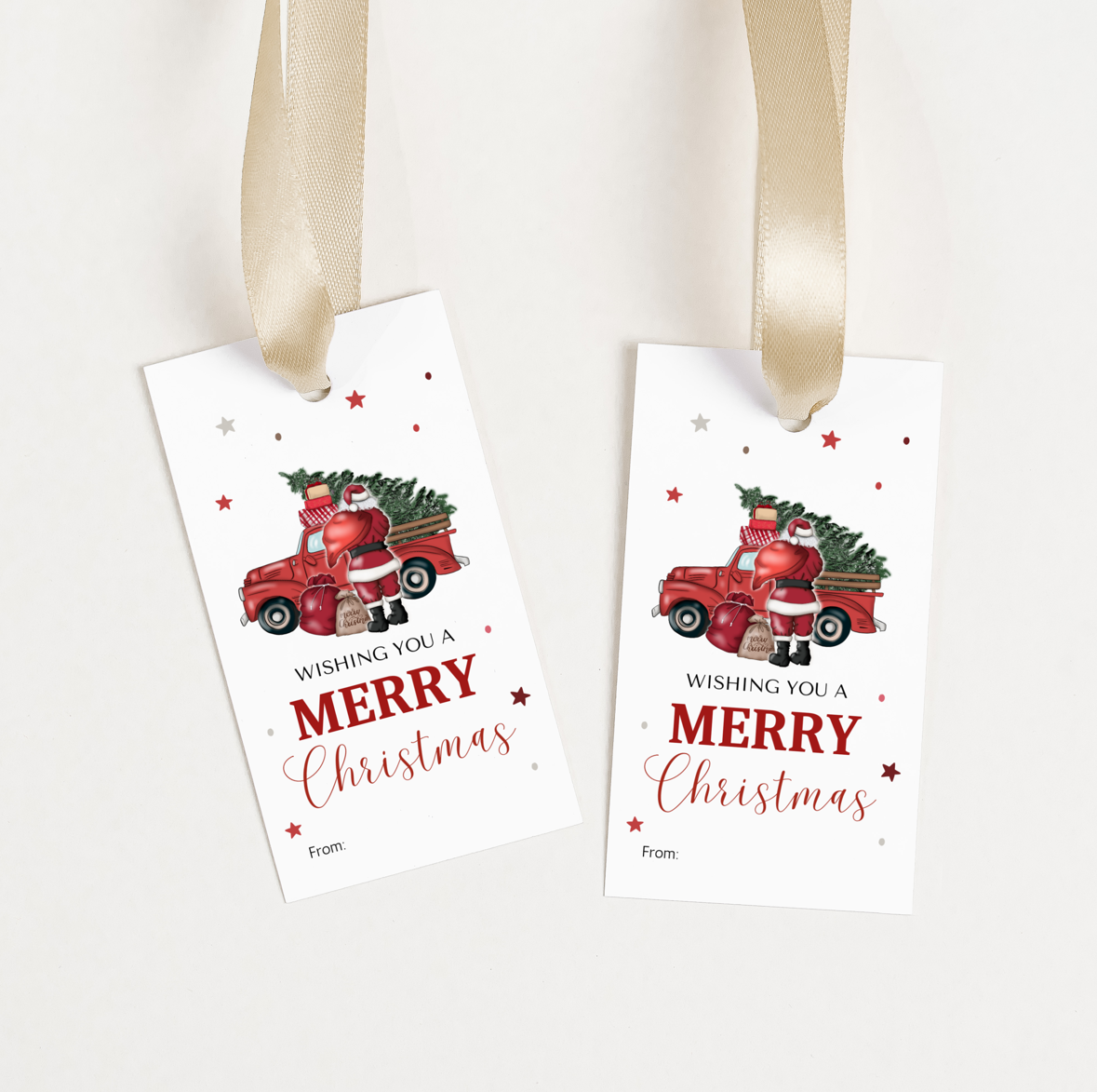 DIGITAL Merry Christmas Gift Tag (1024)