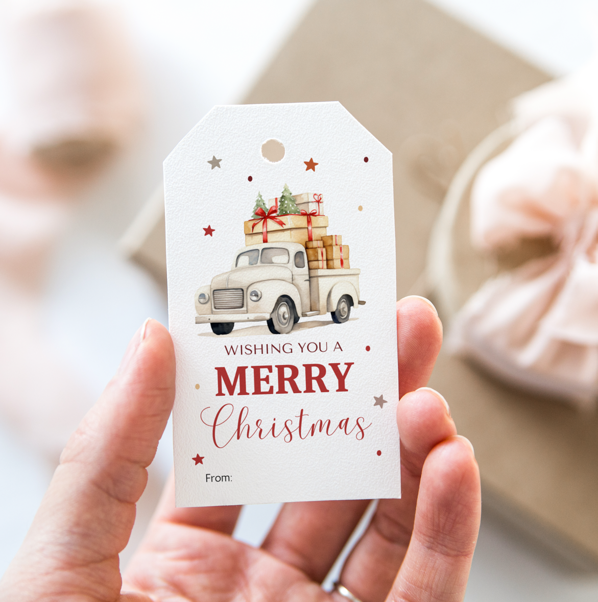 DIGITAL Merry Christmas Gift Tag (1025)
