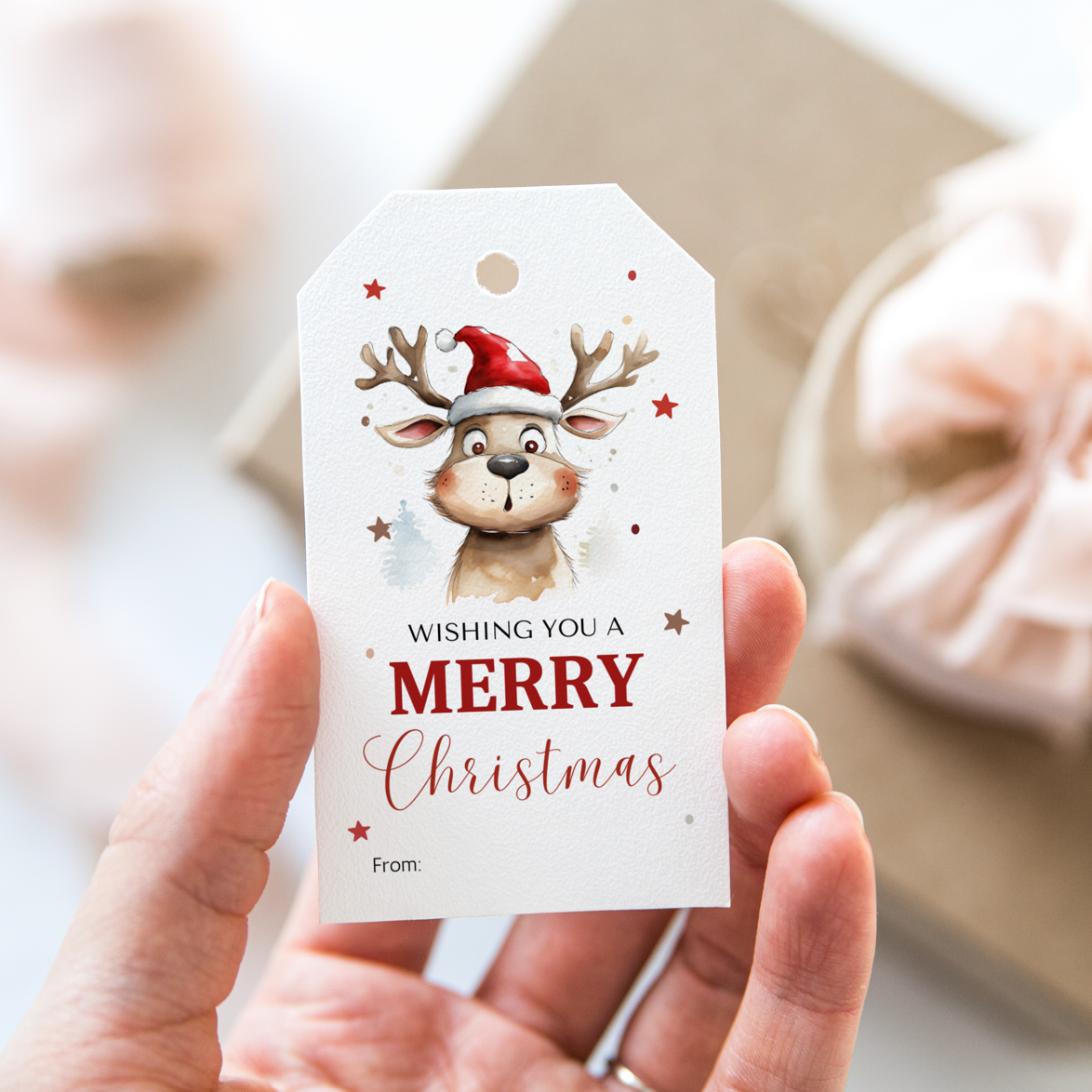 DIGITAL Merry Christmas Gift Tag (1027)