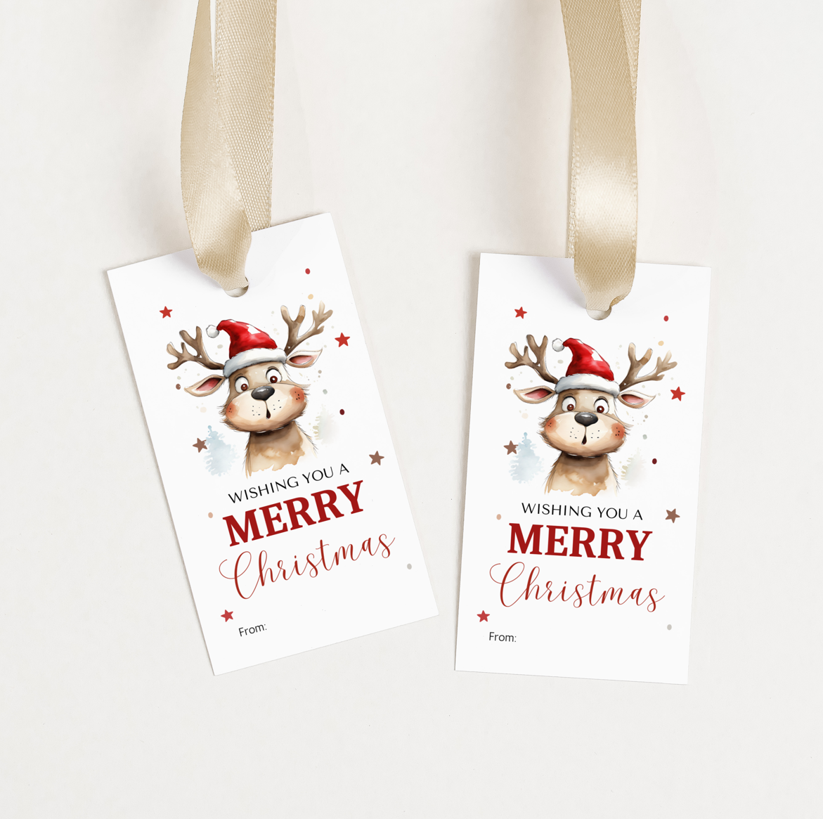 DIGITAL Merry Christmas Gift Tag (1027)