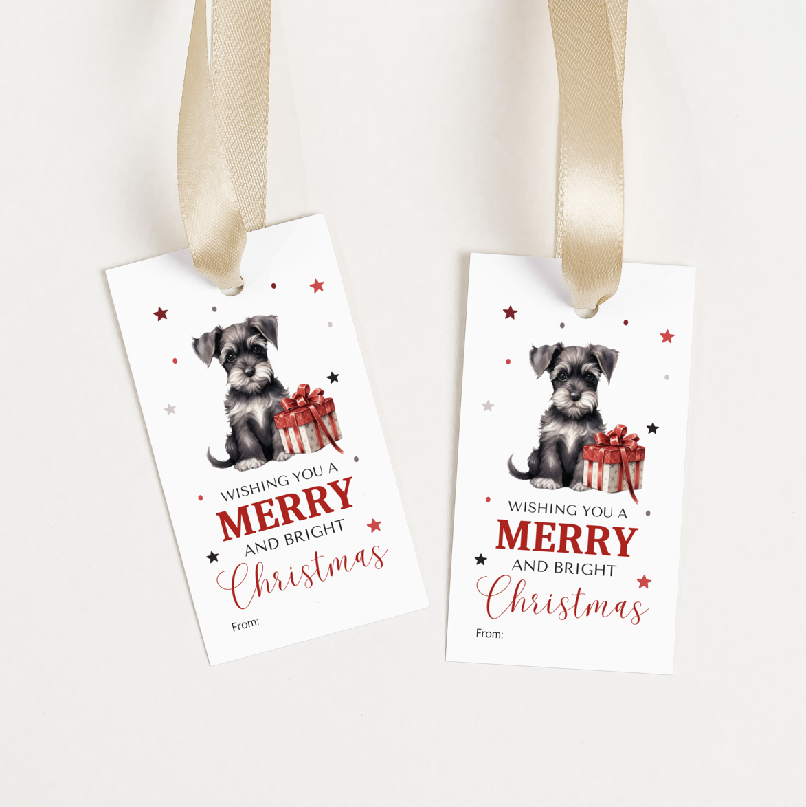 DIGITAL Merry Christmas Gift Tag (1036)