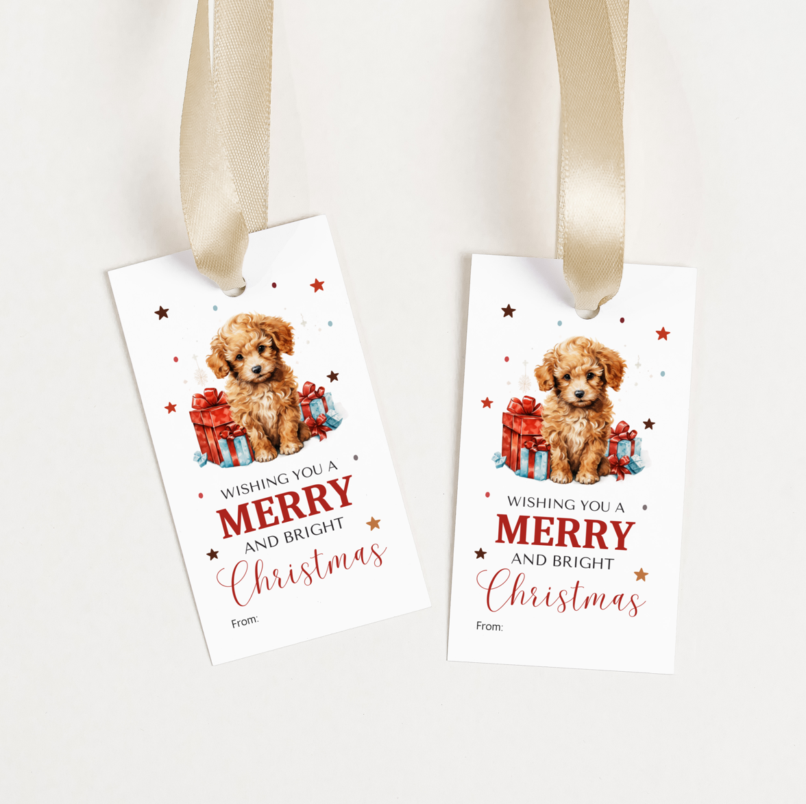 DIGITAL Merry Christmas Gift Tag (1037)