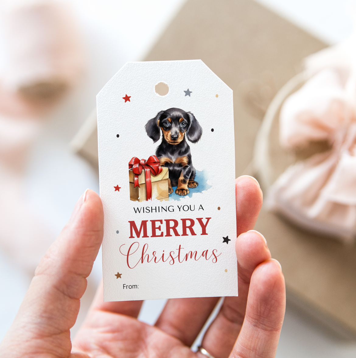 DIGITAL Merry Christmas Gift Tag (1038)