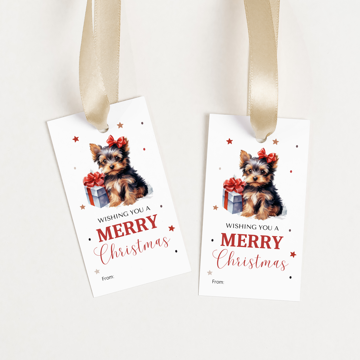 DIGITAL Merry Christmas Gift Tag (1039)