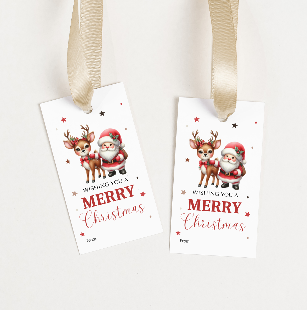 DIGITAL Merry Christmas Gift Tag (1040)