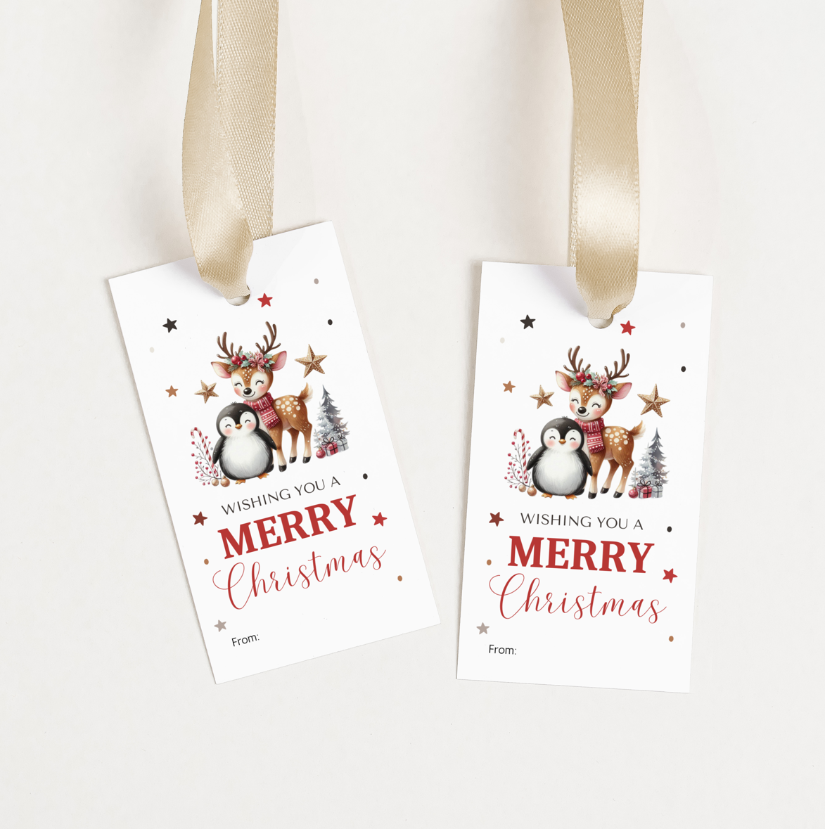 DIGITAL Merry Christmas Gift Tag (1041)