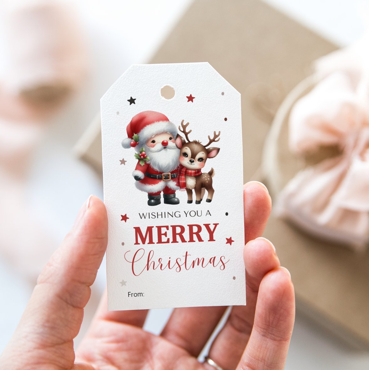 DIGITAL Merry Christmas Gift Tag (1042)