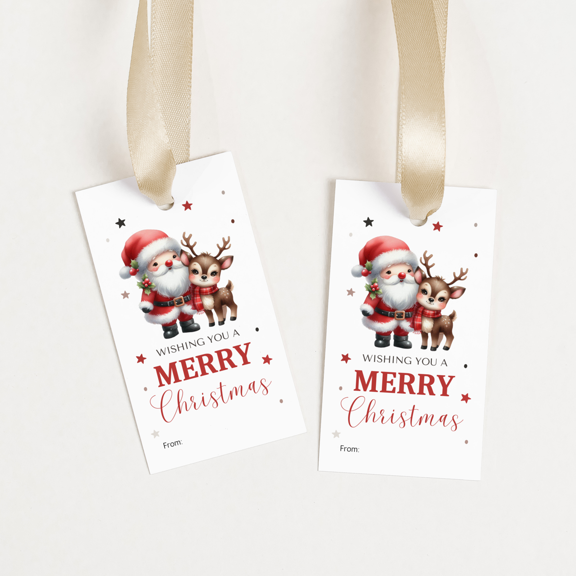 DIGITAL Merry Christmas Gift Tag (1042)