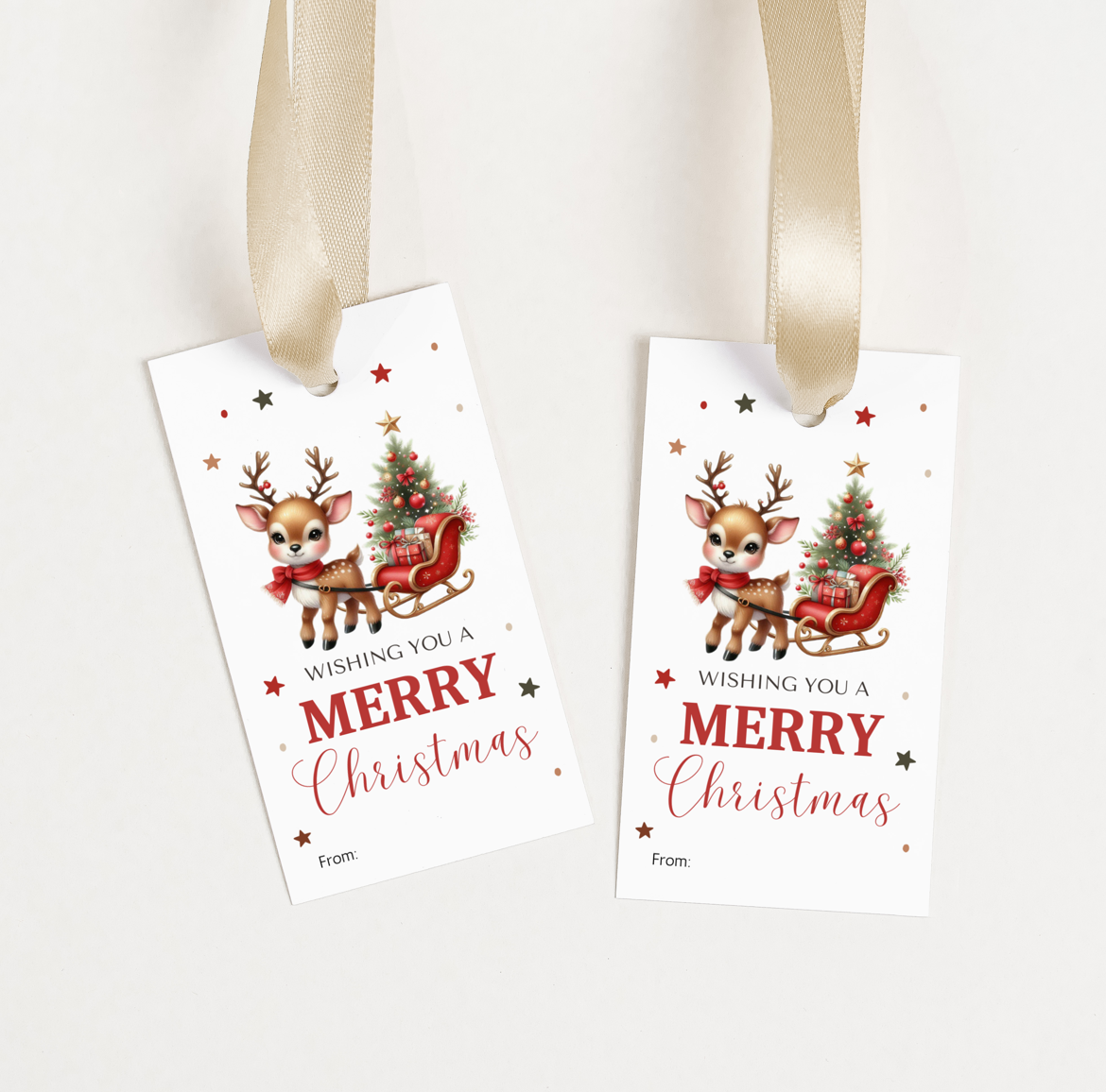 DIGITAL Merry Christmas Gift Tag (1043)