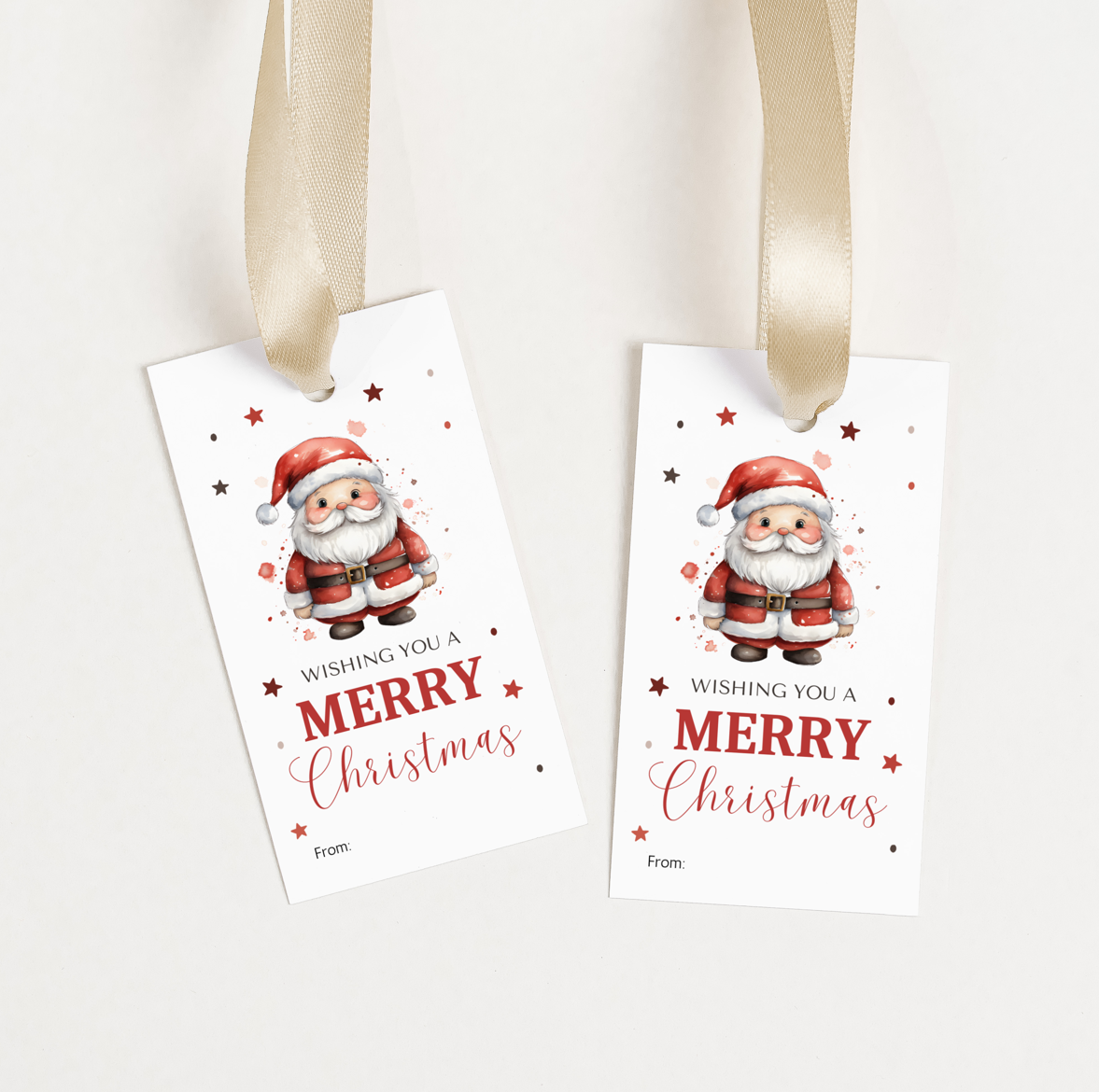 DIGITAL Merry Christmas Gift Tag (1052)