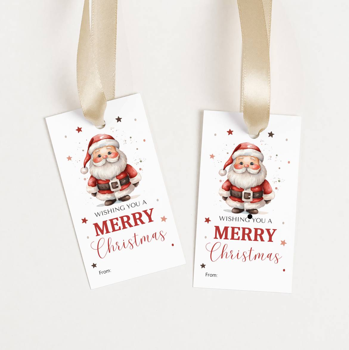 DIGITAL Merry Christmas Gift Tag (1054)