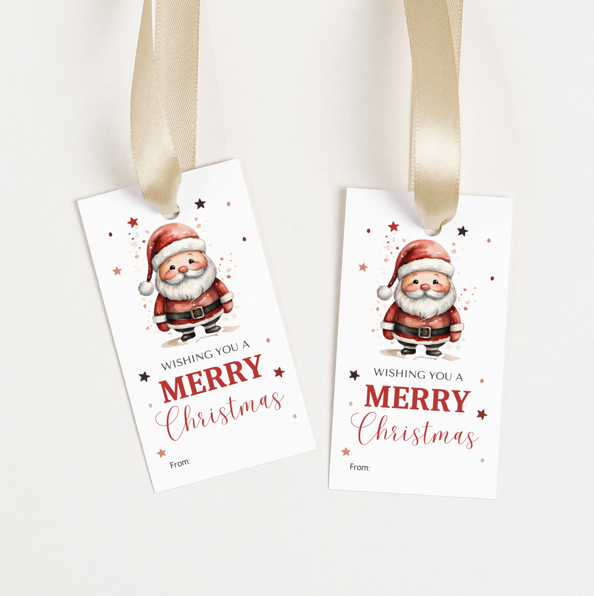 DIGITAL Merry Christmas Gift Tag (1055)