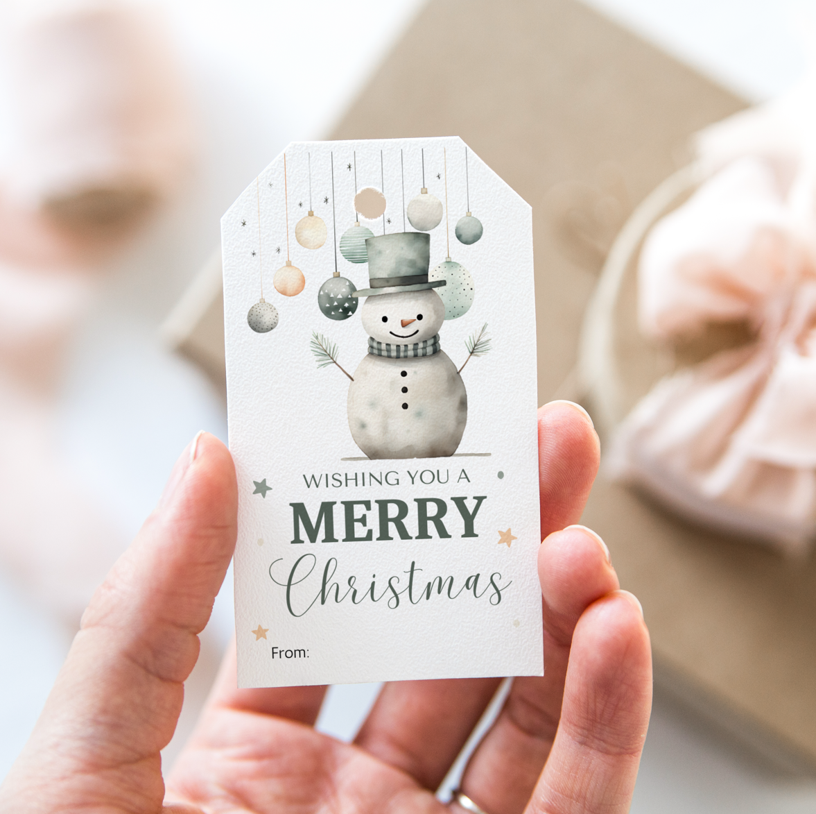 DIGITAL Merry Christmas Gift Tag (1056)