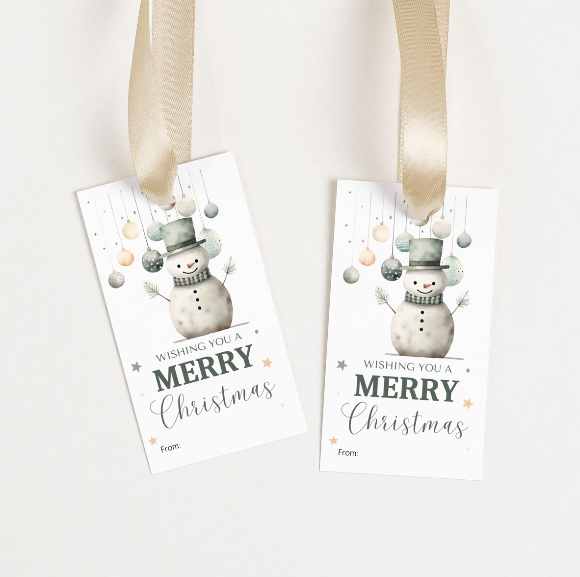 DIGITAL Merry Christmas Gift Tag (1056)
