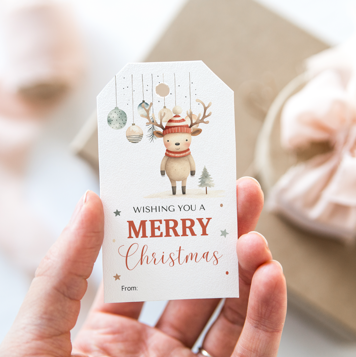 DIGITAL Merry Christmas Gift Tag (1058)
