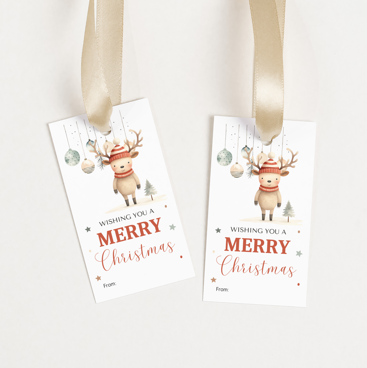 DIGITAL Merry Christmas Gift Tag (1058)