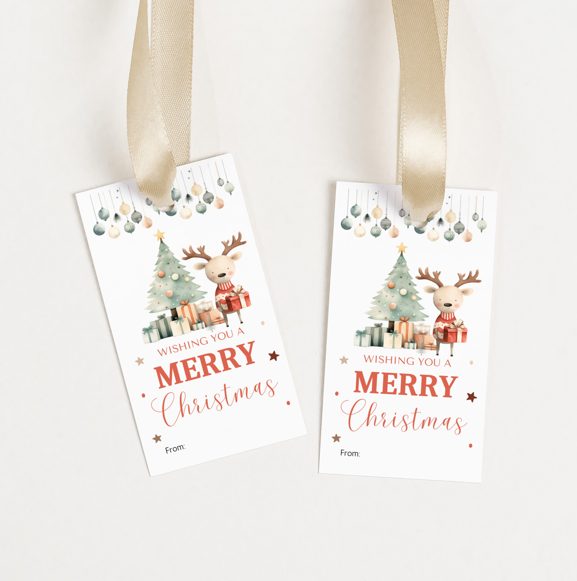 DIGITAL Merry Christmas Gift Tag (1059)