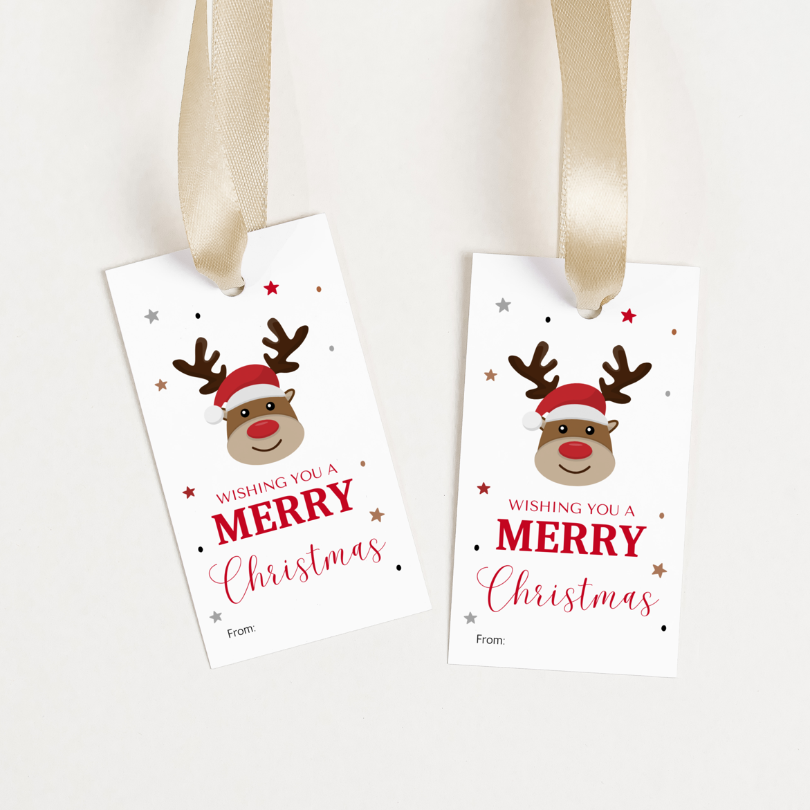 DIGITAL Reindeer Merry Christmas Gift Tag (1067)