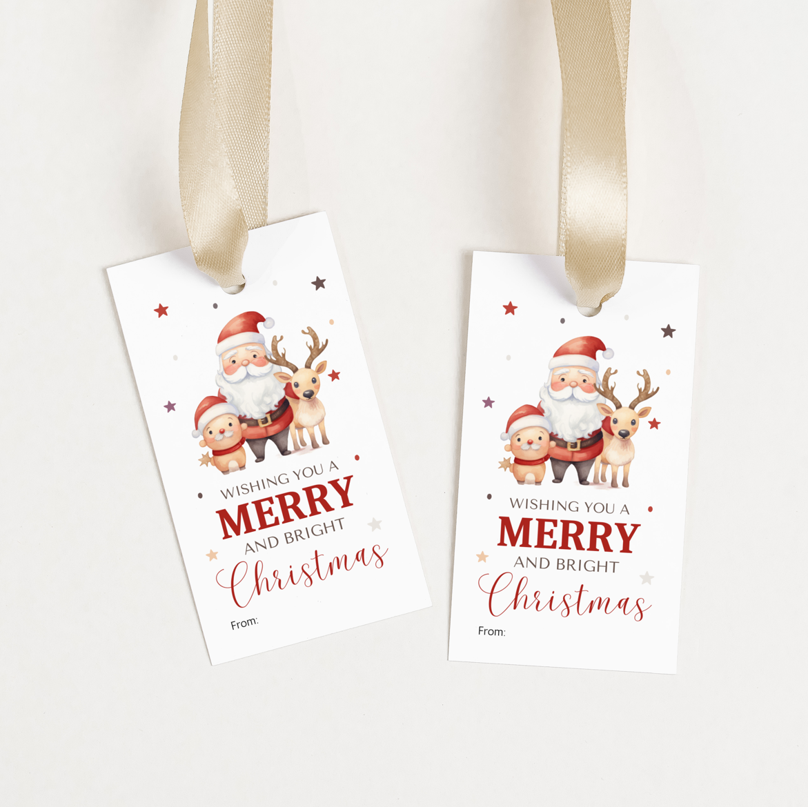 DIGITAL Merry Christmas Gift Tag (1003)