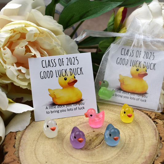 CLEARANCE - Class of 2025 Luminous Good Luck Duck