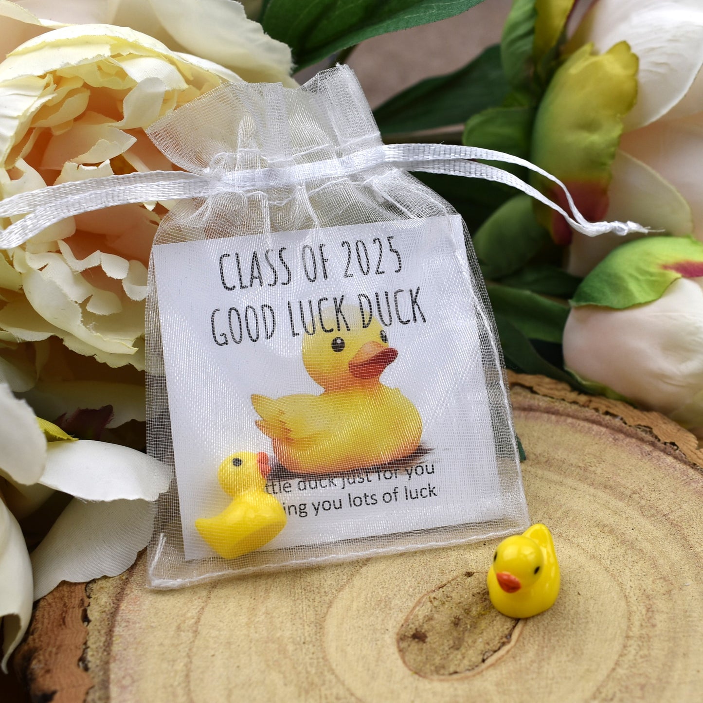 Class of 2025 Good Luck Duck
