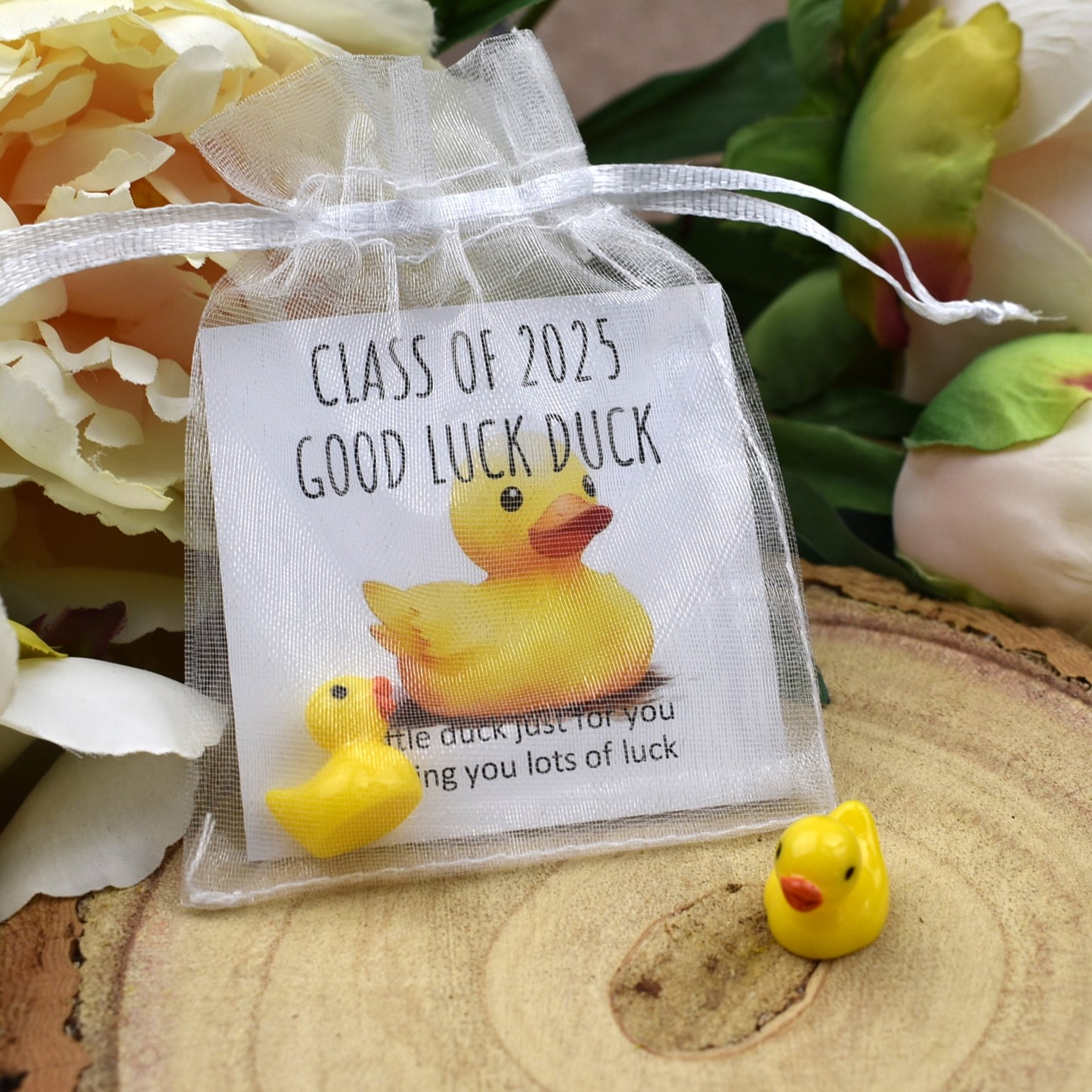 Class of 2025 Good Luck Duck