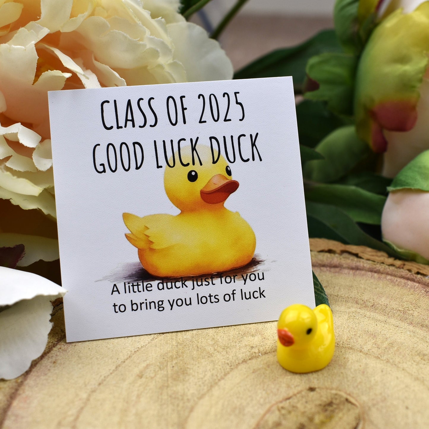 Class of 2025 Good Luck Duck