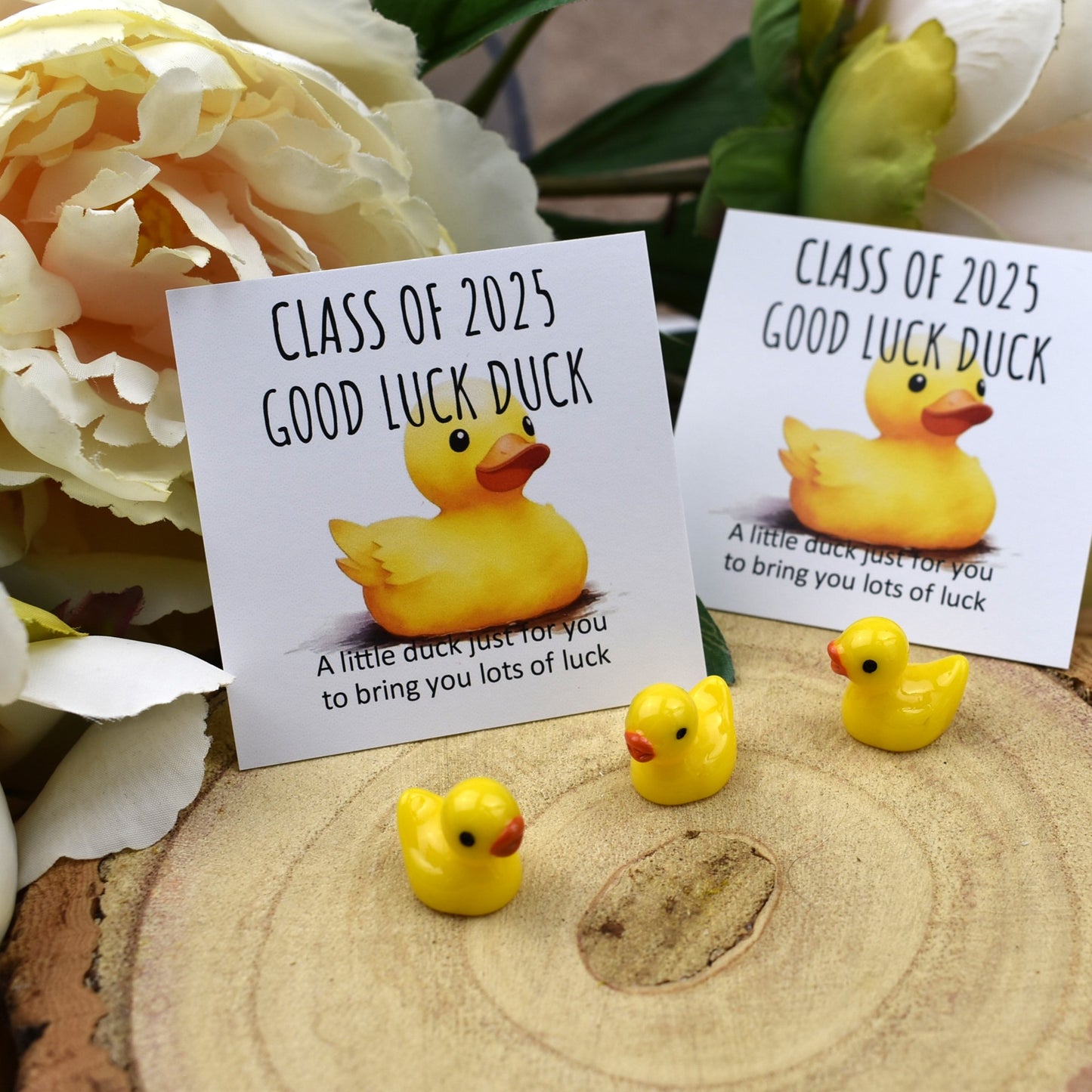 Class of 2025 Good Luck Duck