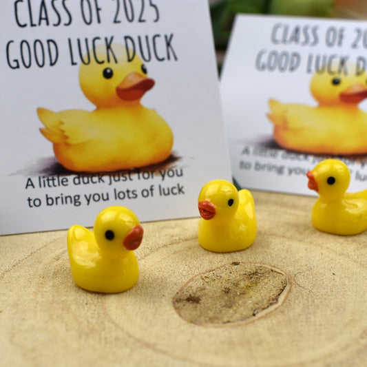 CLEARANCE - Class of 2025 Good Luck Duck