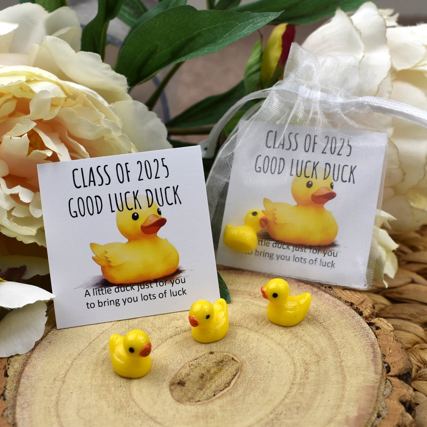 Class of 2025 Good Luck Duck