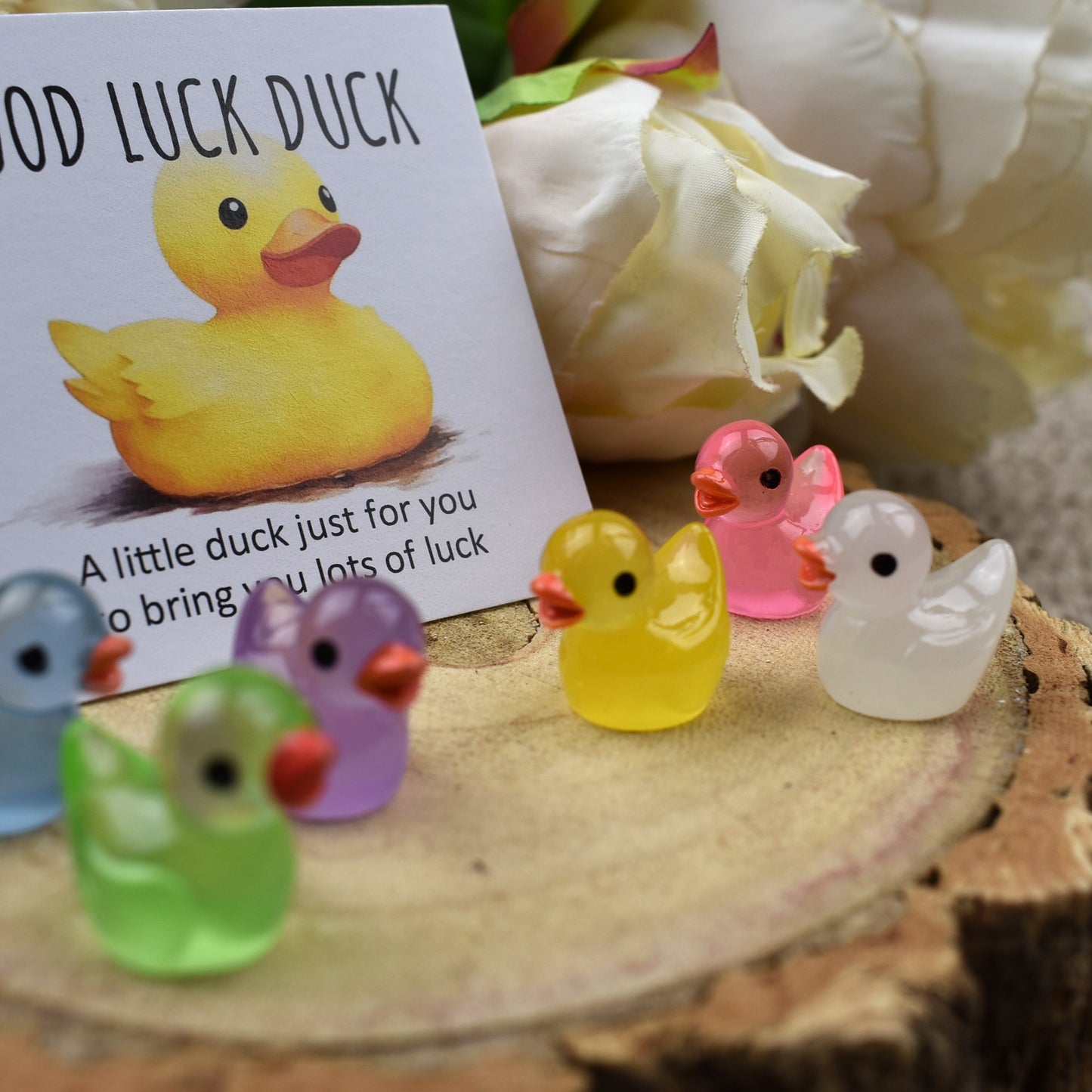 Luminous Good Luck Duck (7000)