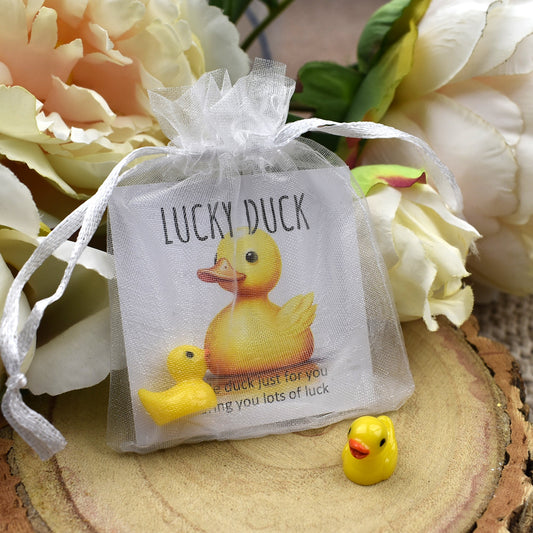 CLEARANCE - Lucky Duck