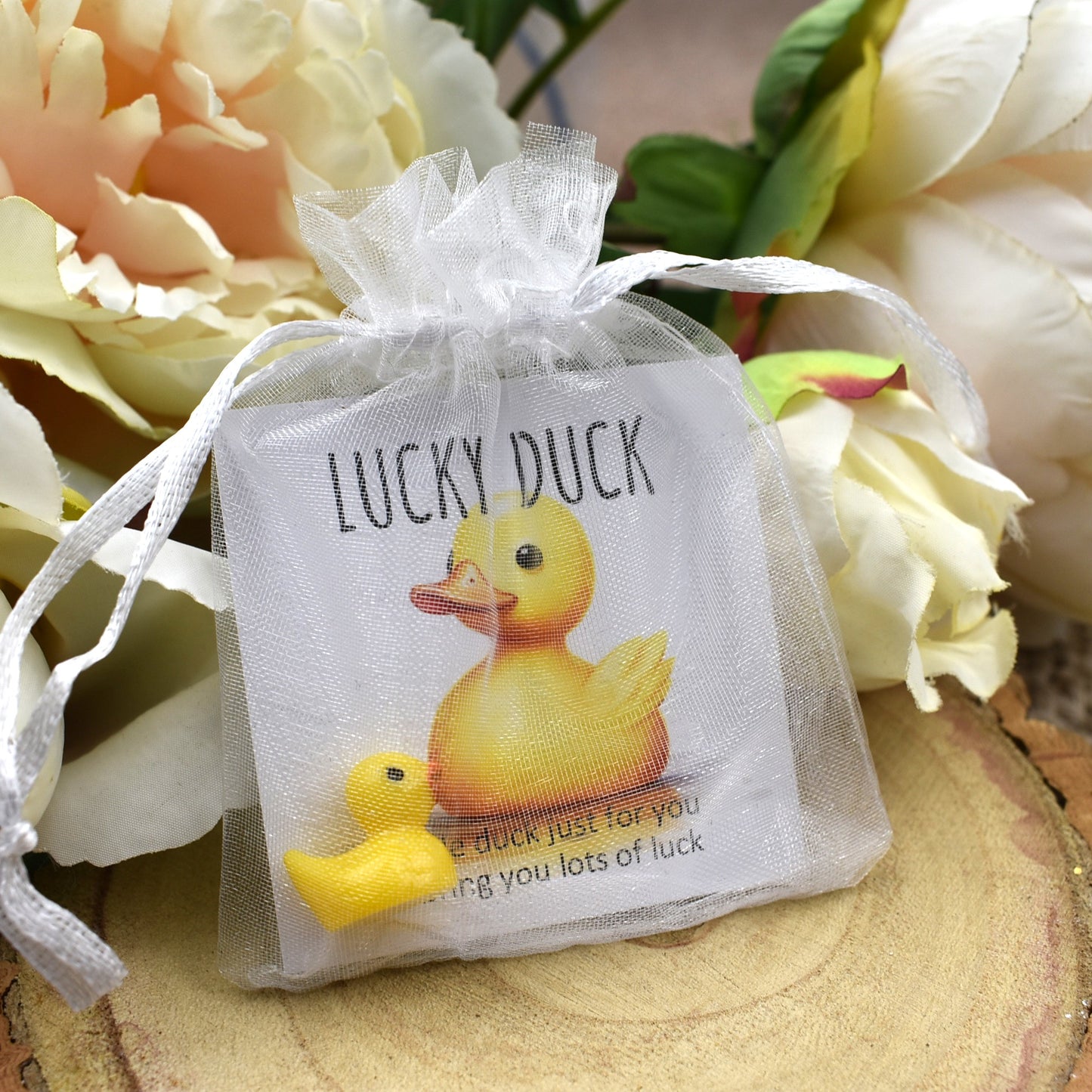 Lucky Duck